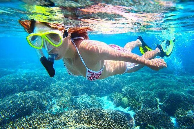 Dolphin Watching and Snorkeling Tour from Muscat - A Closer Look at the Experience
