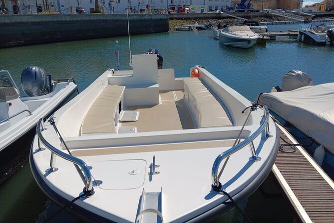 dolphin-watching-and-wildlife-from-faro