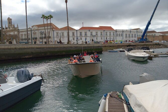 dolphin-watching-and-wildlife-from-faro