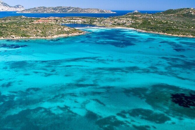 Dolphin Watching Boat Excursion to Figarolo Island from Olbia - Key Points