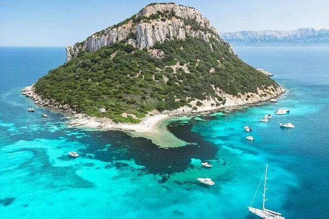Dolphin Watching Boat Excursion to Figarolo Island from Olbia - Final Thoughts