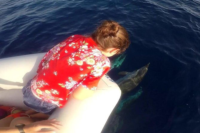 dolphin-watching-conservation-dolphins-in-the-gulf-of-catania
