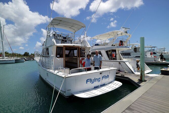 Dolphin Watching Cruise with Underwater Observatory Viewing - An In-Depth Look at the Itinerary