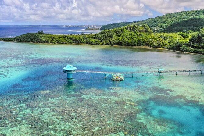 Dolphin Watching Cruise with Underwater Observatory Viewing - Authentic Experiences from Travelers