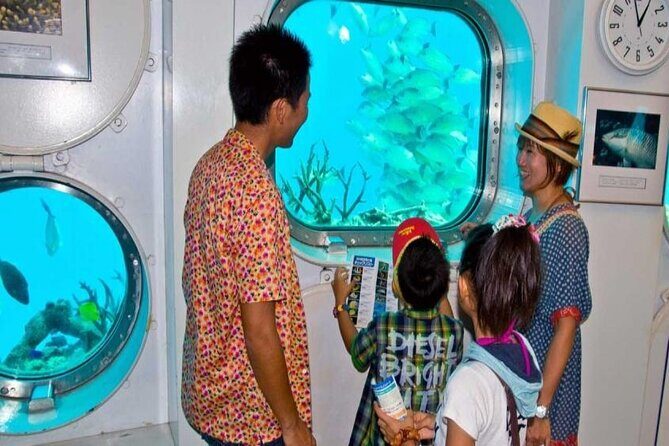 Dolphin Watching Cruise with Underwater Observatory Viewing - FAQ