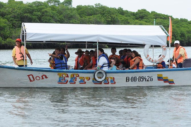 dolphin-watching-experience-in-puerto-el-morro-from-guayaquil
