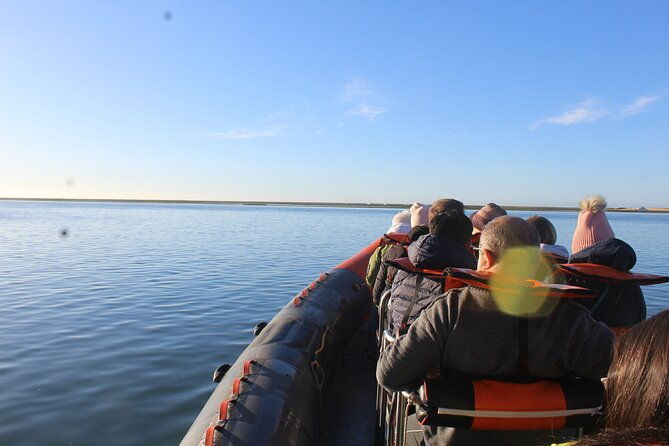 dolphin-watching-from-faro