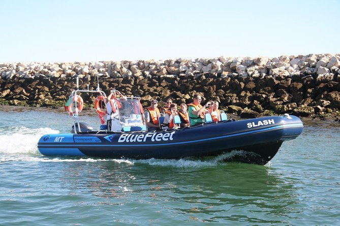 dolphin-watching-from-lagos-with-marine-biologists