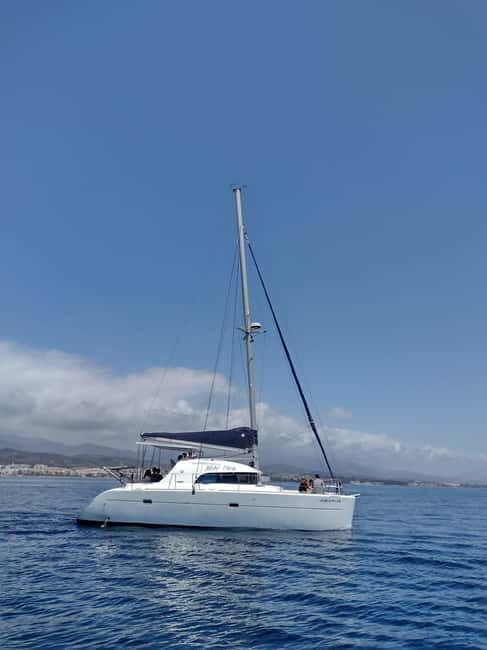 Dolphin watching in Estepona - Why This Tour Offers Good Value