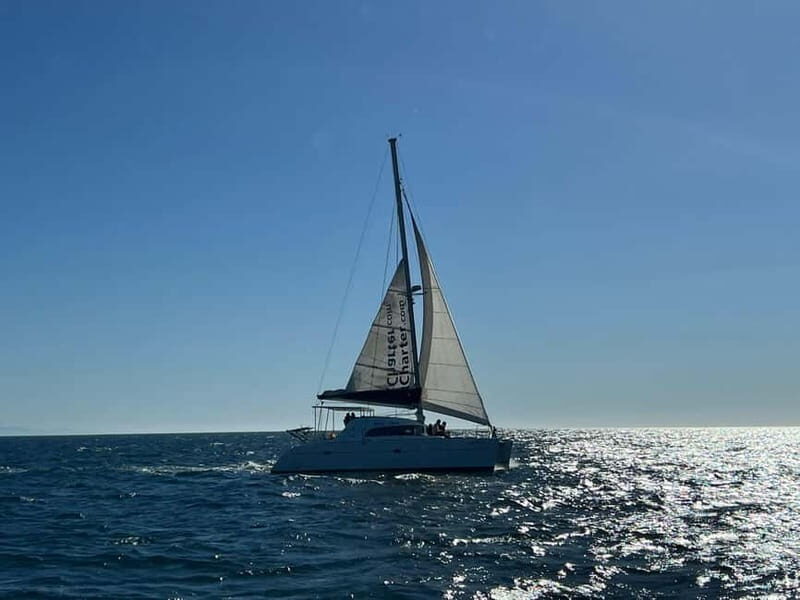 Dolphin watching in Estepona - Final Thoughts