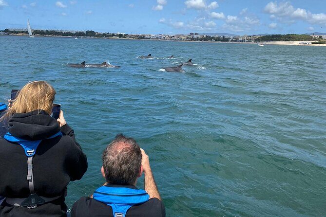 Dolphin Watching in Lisbon - Final Thoughts