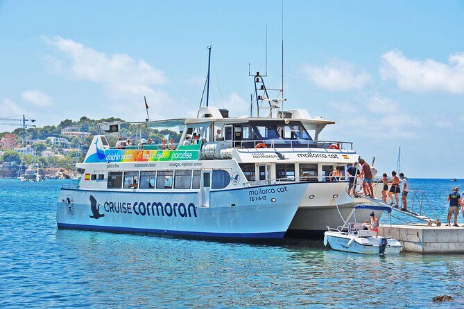 Dolphin Watching in Majorca - Detailed Breakdown of the Itinerary