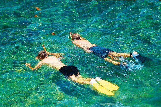 Dolphin Watching in Majorca - Practical Tips for Travelers