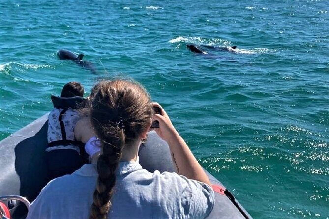 Dolphin watching in Setúbal - Who is This Tour Best For?