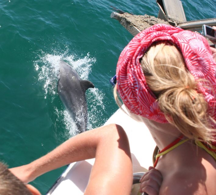 Dolphin Watching in the Wild - Half Day Tour - Who Will Enjoy This Tour?