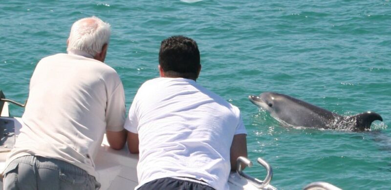 Dolphin Watching in the Wild - Half Day Tour - FAQ