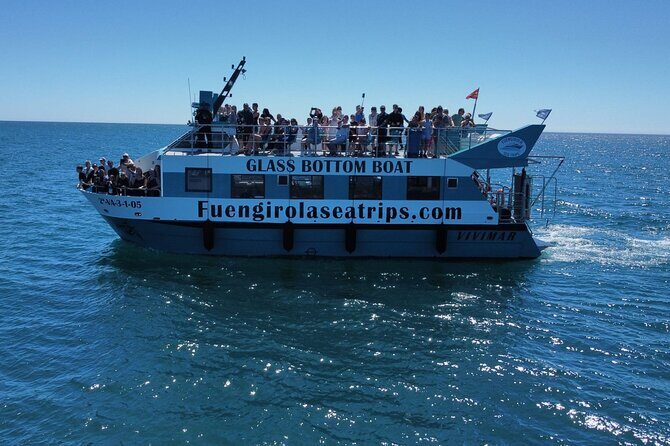 Dolphin watching on a Catamaran in Fuengirola - What to Expect from the Tour