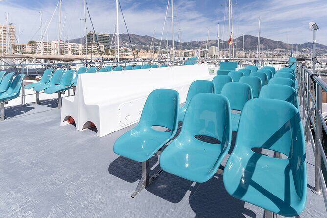 Dolphin watching on a Catamaran in Fuengirola - Value and Cost