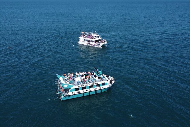 Dolphin watching on a Catamaran in Fuengirola - Frequently Asked Questions