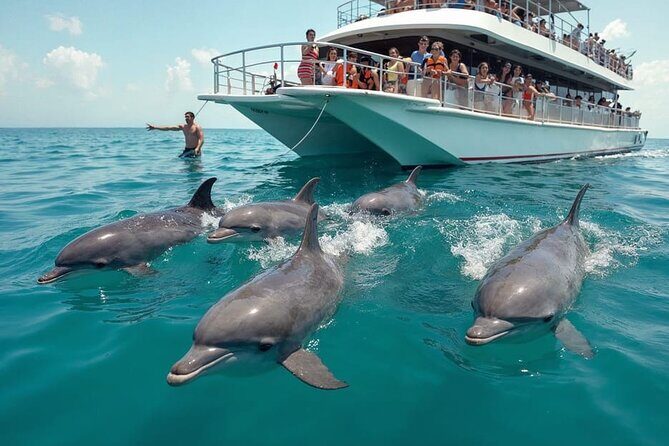 Dolphin Watching & Snorkeling Adventure with Lunch - Key Points