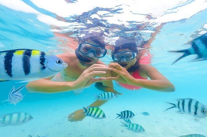 Dolphin Watching & Snorkeling Adventure with Lunch - The Sum Up: Is This the Right Trip for You?