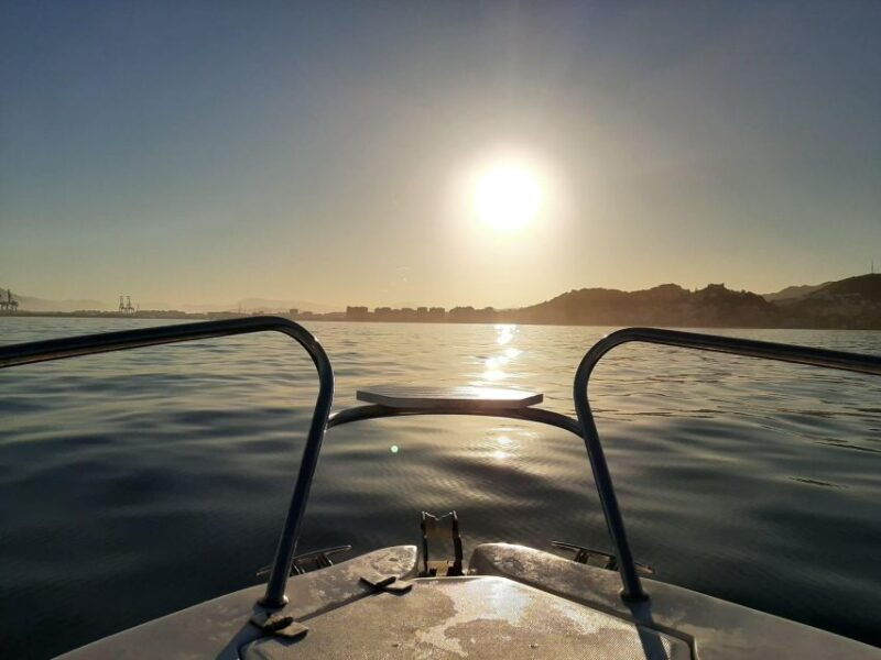 dolphin-watching