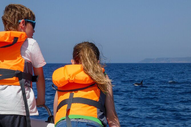 Dolphin Watching with Biologist in Arrábida Natural Park - Final Thoughts