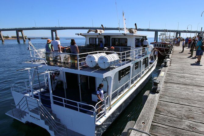 Dolphin & Whale Cruise - The Itinerary: What to Expect