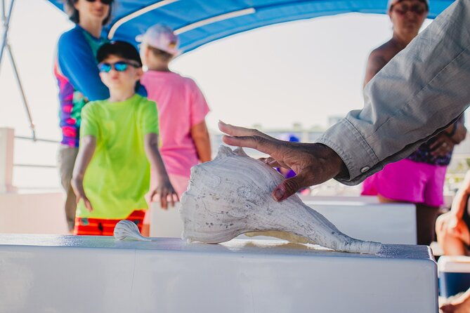 dolphin-wildlife-cruise-fort-myers-beach