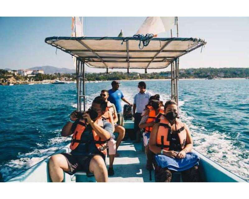 dolphins-and-whales-watching-in-puerto-escondido