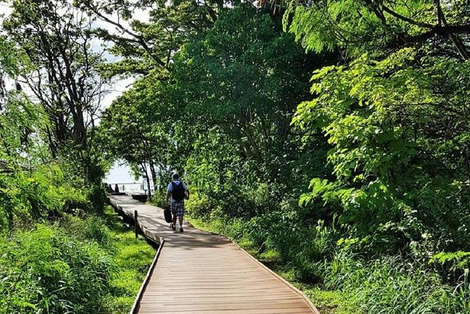 dolphins-bay-trail