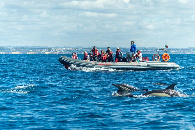 dolphins-caves-on-rib-boat