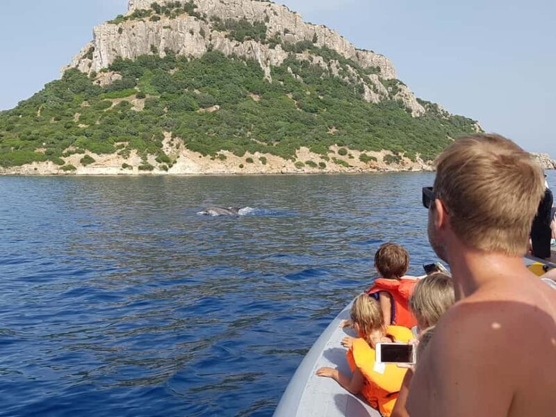 Dolphins: Dolphin Watching Tour and Capo Figari by Raft - Key Points  