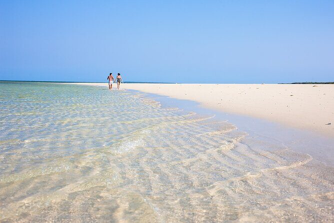 Dolphins +Jozani forest +Kuza cave +Paje beach + Rock restaurant - Is This Tour Worth It?