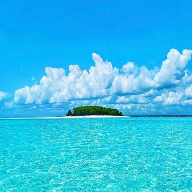 Dolphins & Snorkeling Zanzibar: Mnemba Island Tour - A Close Look at the Tour Itself