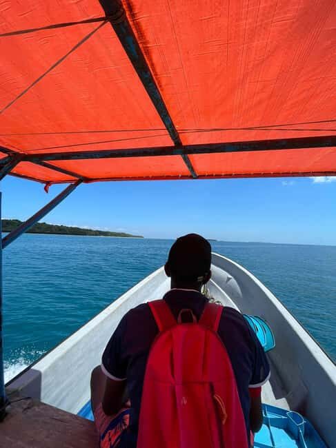Dolphins tour and turtles swimming in kizimkazi - FAQ