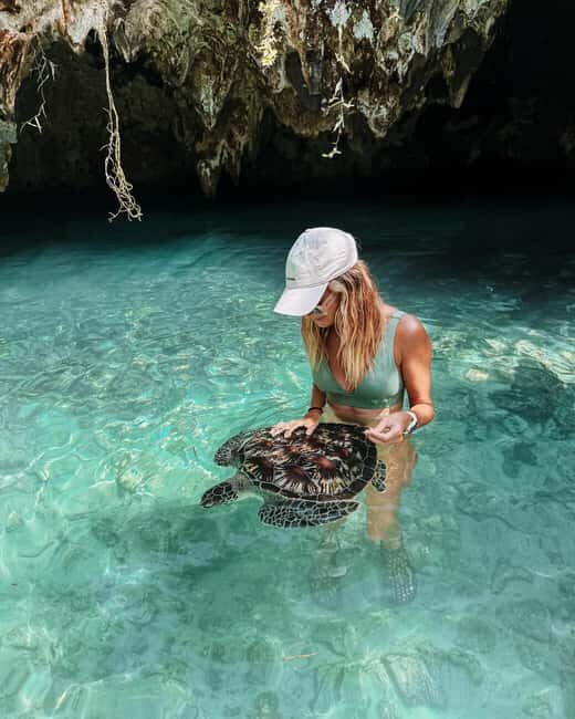Dolphins tour + mnemba island snorkeling + salaam turles - Key Points