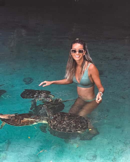 Dolphins tour + mnemba island snorkeling + salaam turles - Real Traveler Experiences