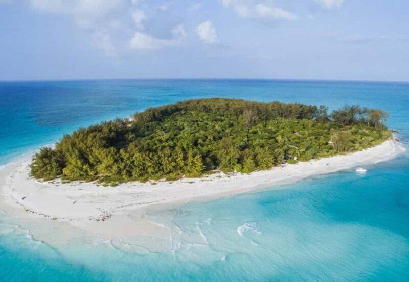 Dolphins Tour! Mnemba Island Snorkeling - What to Expect on the Mnemba Island Snorkeling Tour