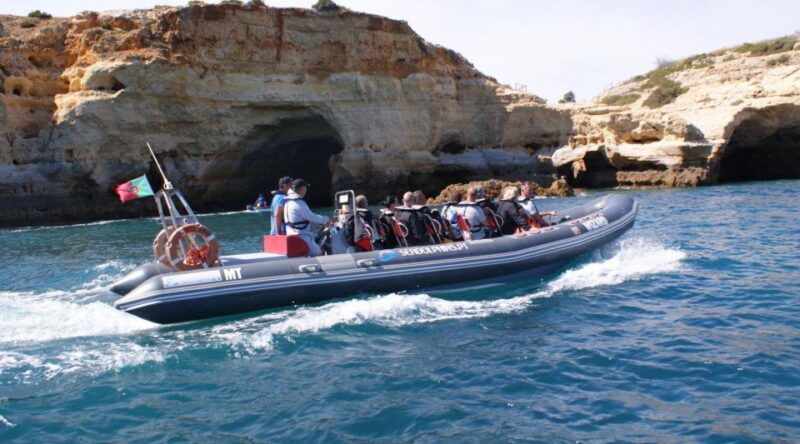 dolphins-watching-portimao