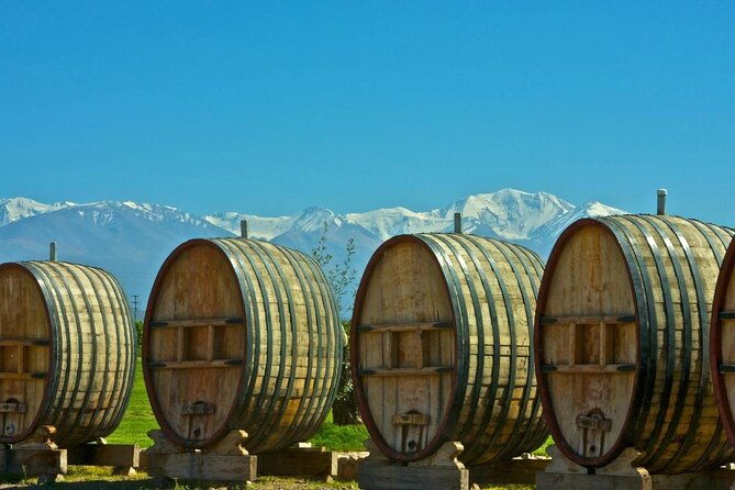 domaine-bousquet-winery-tour-with-horseback-riding-and-lunch
