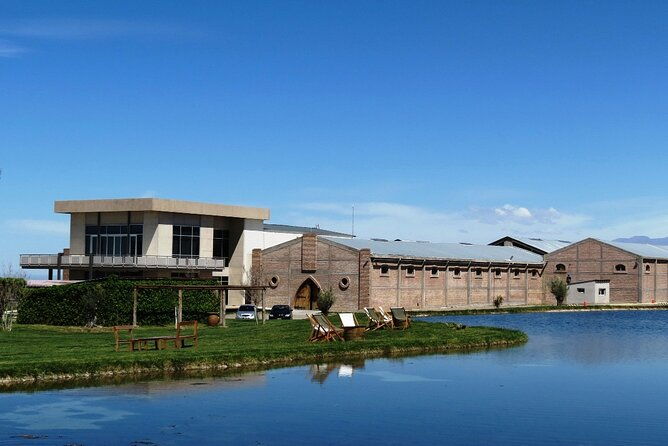 domaine-bousquet-winery-tour-with-horseback-riding-and-lunch
