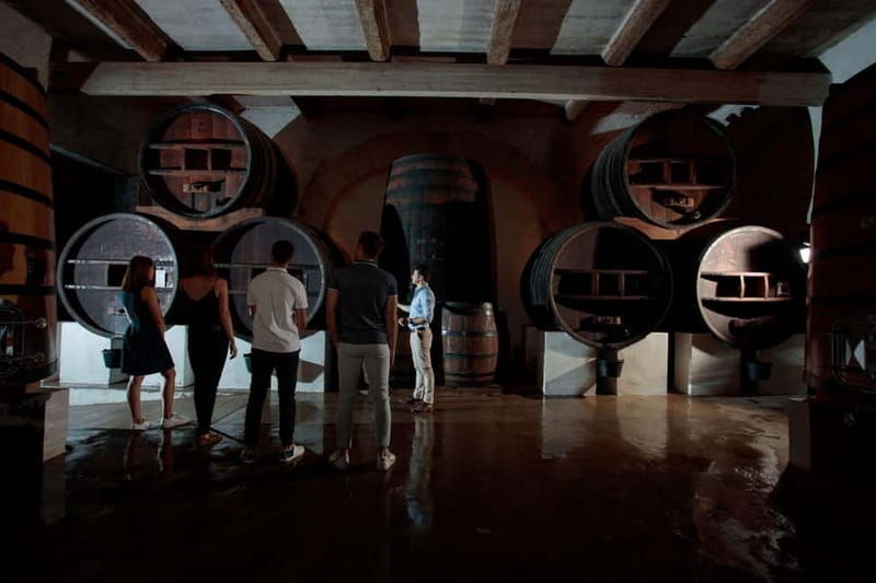 Domaine de Soustres, Montady : Visit and Tasting - Discovering the Estate: A Journey Through Land and History