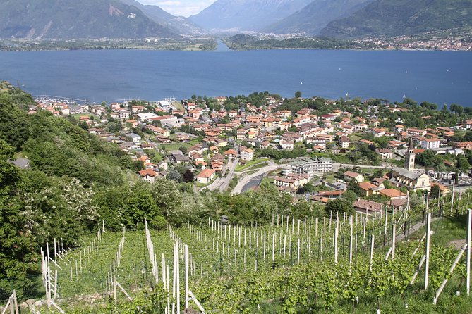 domaso-wine-tasting-at-the-winery-on-como-lake