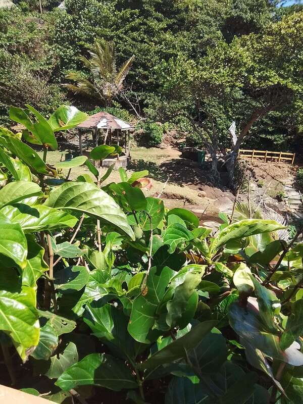 Dominica: Indian village, Hidden gems & British Battle Fort. - Authenticity and Value