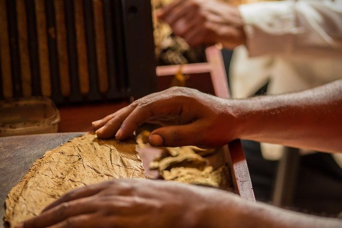 dominican-cigar-factory-tour