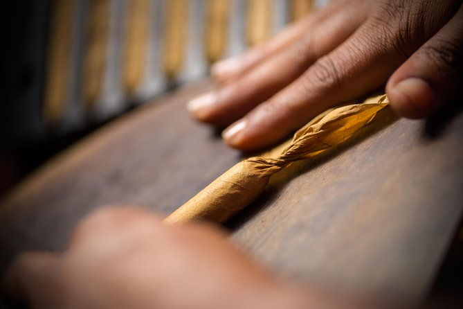 dominican-cigar-factory-tour