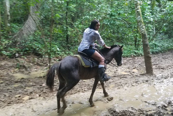 dominican-mega-combo-4-excursions-in-one