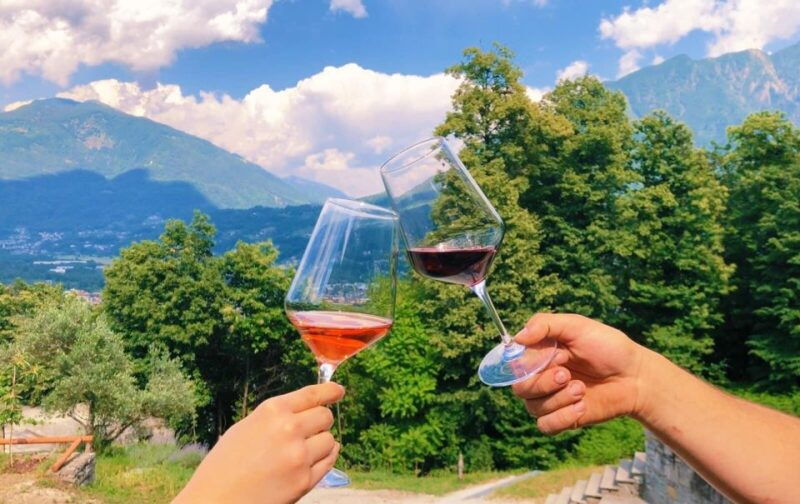 domodossola-ossola-valley-winery-tour-with-tastings