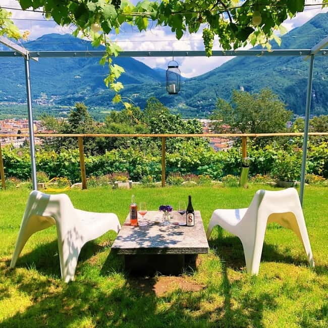 Domodossola: Savor Wines & Local Treats in a Scenic Vineyard - An In-Depth Review of the Experience